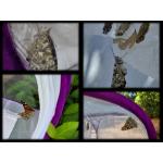 Schmetterling_collage_2.jpg